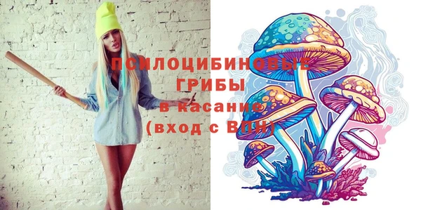 ешки Лабытнанги