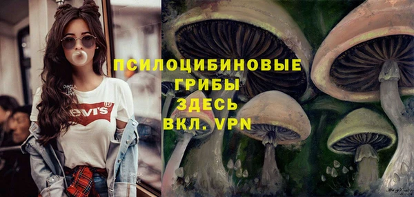 МДМА Ладушкин