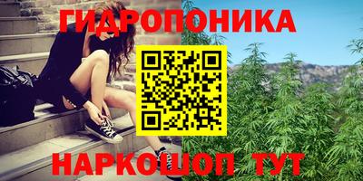 ГАЛЛЮЦИНОГЕННЫЕ ГРИБЫ Рузаевка
