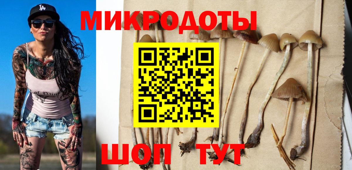 Псилоцибиновые грибы ЛСД Новоалександровск