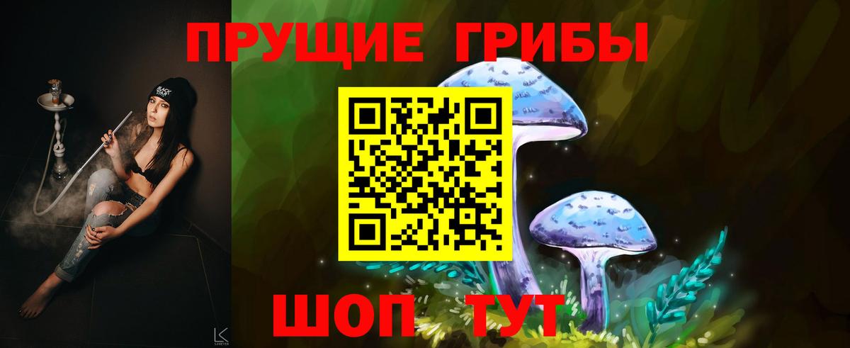Новоалександровск  купить наркоту  Вход с VPN  Псилоцибиновые грибы Magic Shrooms 